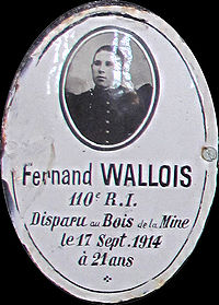 Portrait de Fernand Wallois