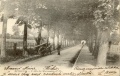 Béthune avenue du Pont des Dames3.jpg