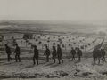 Etaples camp britannique 1916 chenil.jpg